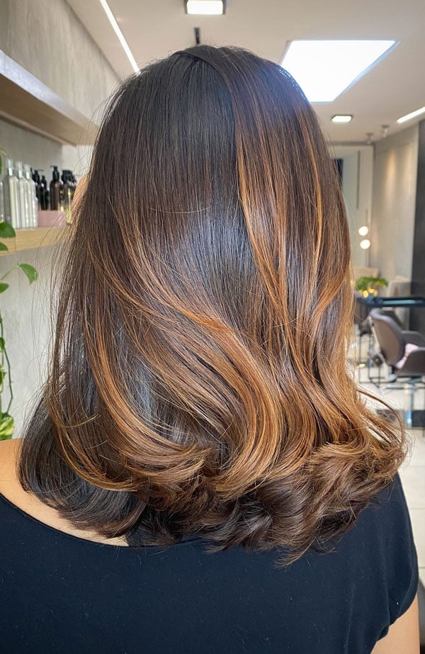 Espresso Brown Mid-Back With Caramel Highlights — Highlights in Brown Hair