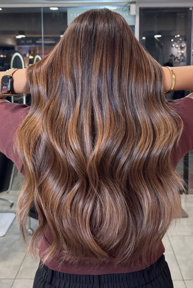 Rich Brown Mid-Back With Caramel Ribbons — Highlights in Brown Hair