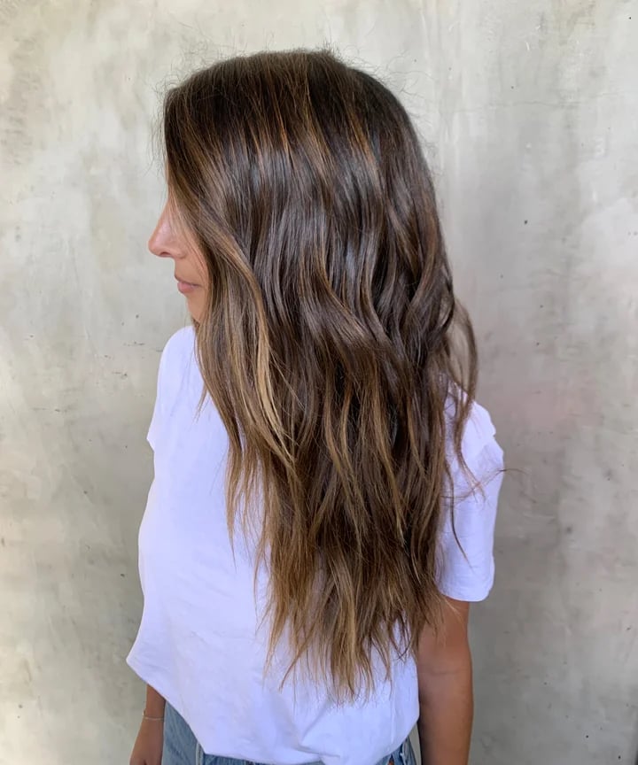 Medium Brown Mid-Back With Honey Blonde Highlights — Highlights in Brown Hair