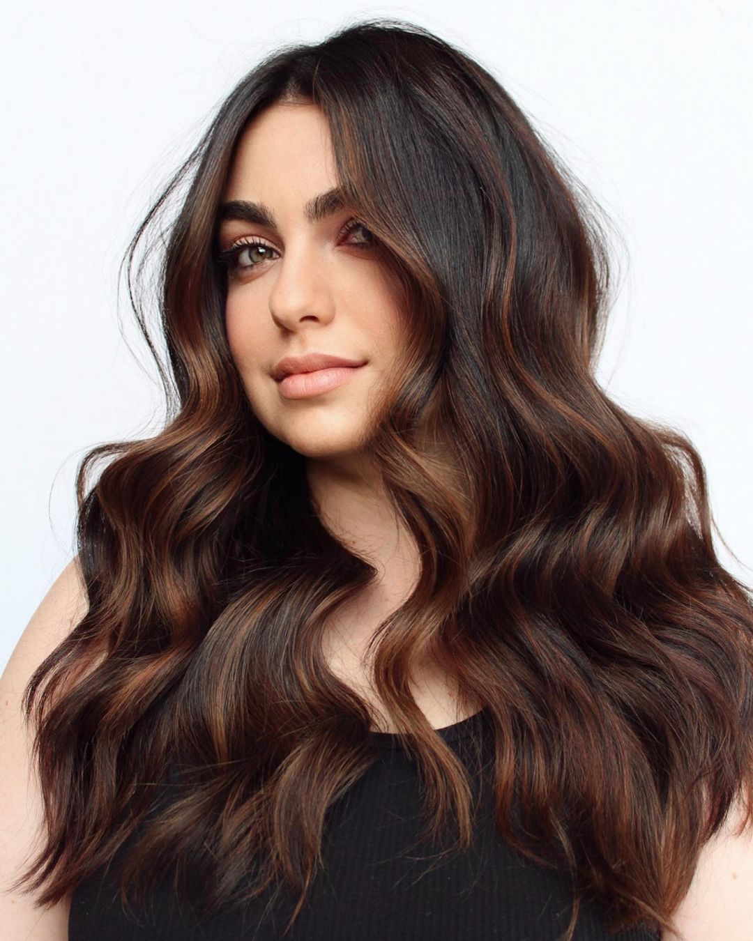 Mid-Back Dark Brown With Warm Brown Highlights Mid-Back Dark Brown With Warm Brown Highlights — Highlights on Dark Hair