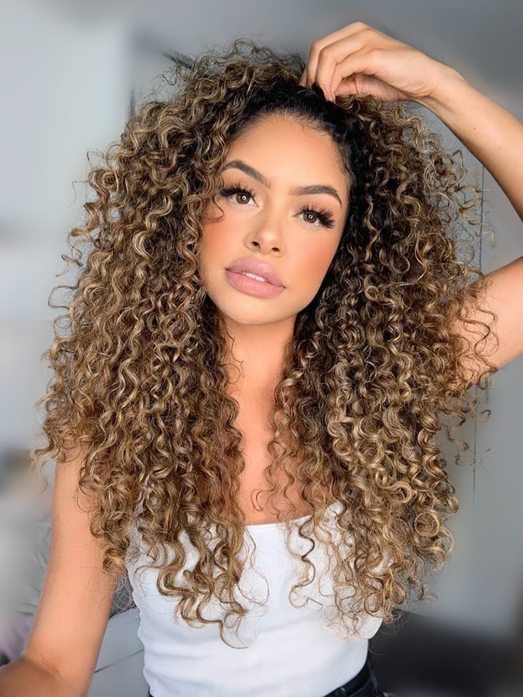 Mid-Back Natural Curls With Frosted Blonde Highlights Mid-Back Natural Curls With Frosted Blonde Highlights — Highlights Wig
