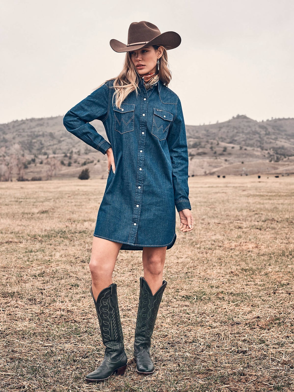 Blue Denim Shirt Dress with Cowboy Boots Blue Denim Shirt Dress with Cowboy Boots — Iconic Dresses