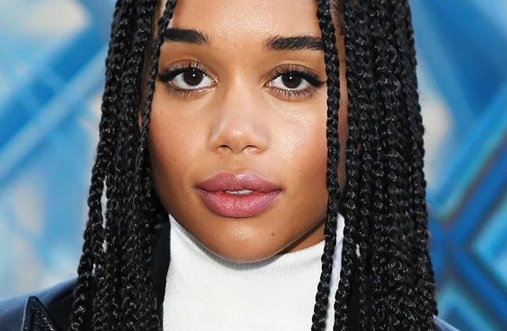 Knotless Box Braids Hair Styles To Rock In 2020