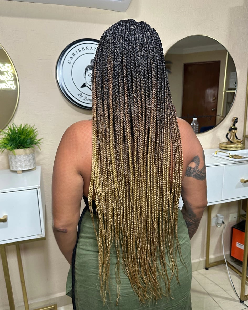 Mid-Back Braids With Black To Blonde Ombre — Knotless Braids