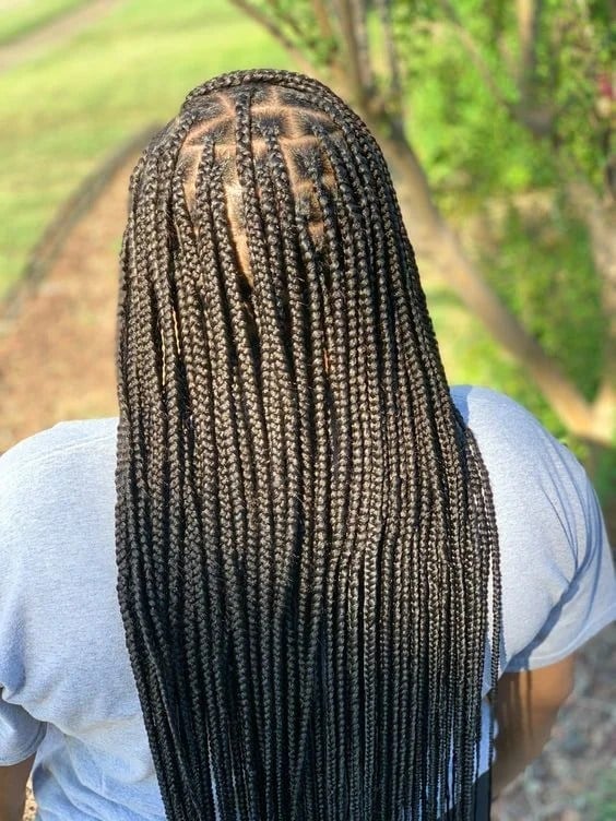 Mid-Back Dark Brown Knotless Braids