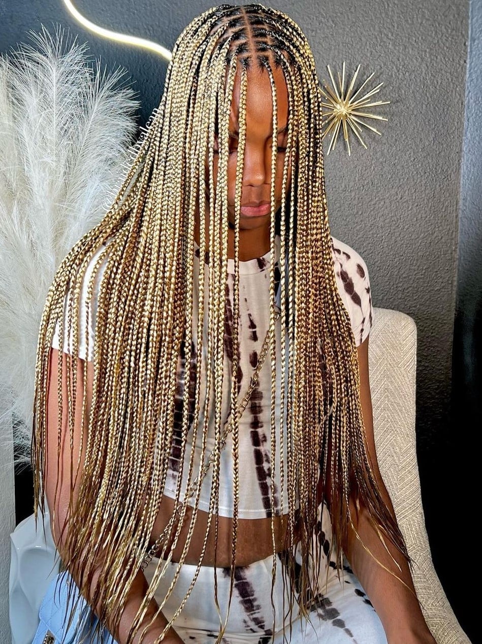 Long Knotless Braids With Blonde To Brown Ombré Long Knotless Braids With Blonde To Brown Ombré — Knotless Hairstyles