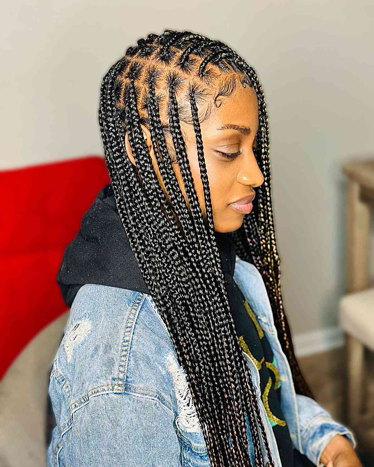 Mid-Back Black to Gray Ombre Braids — Large Braids