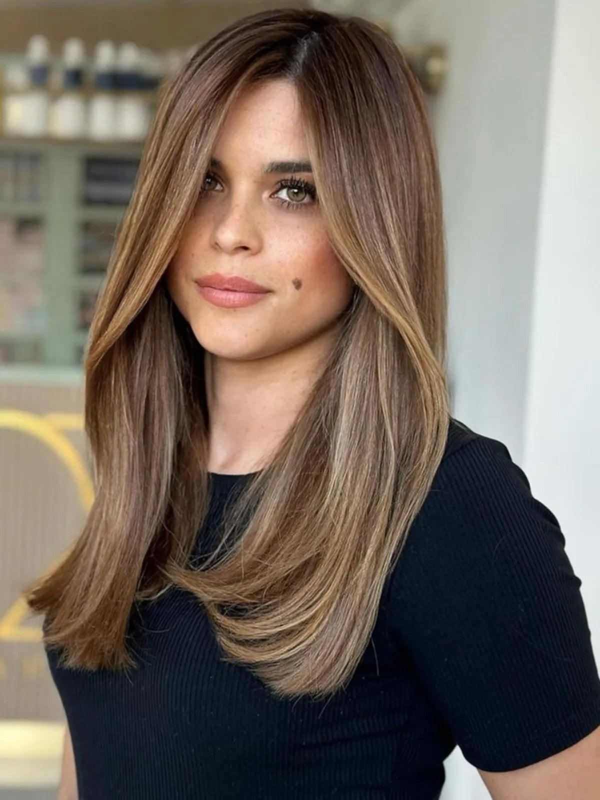 Subtle Blonde Highlights On Light Brown Straight Hair, Mid-Back Subtle Blonde Highlights On Light Brown Straight Hair, Mid-Back — Light Highlights