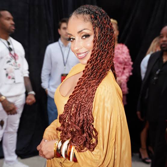 Mid-Back Box Braids With Auburn Highlights Mid-Back Box Braids With Auburn Highlights — Marley Twists Hairstyles