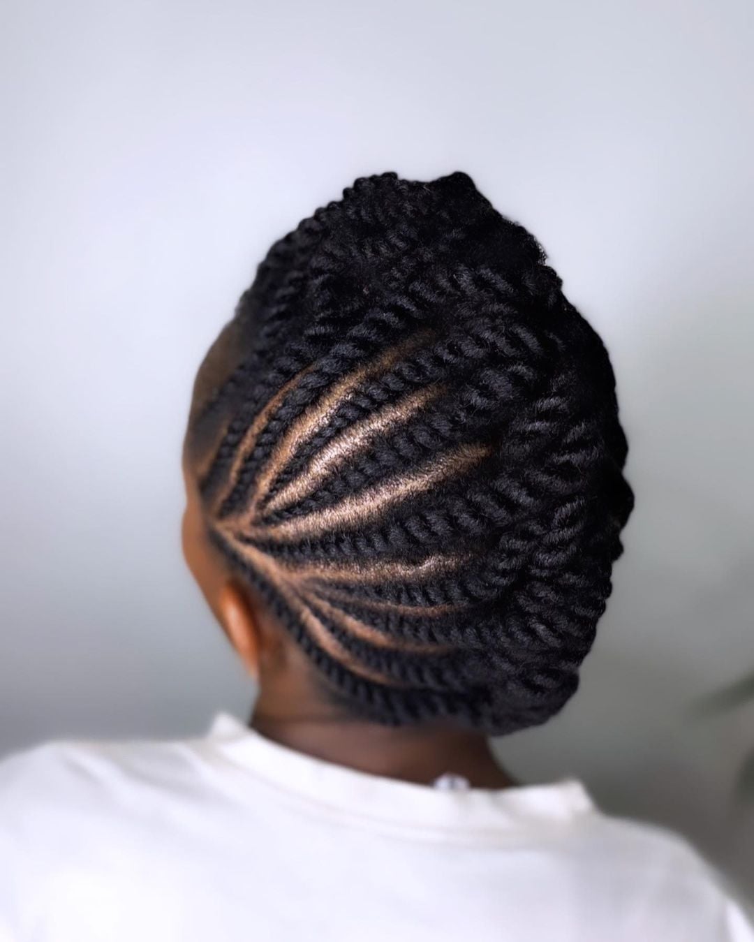 Black Twists Intricate Updo With Brown Undertones Black Twists Intricate Updo With Brown Undertones — Marley Twists Hairstyles