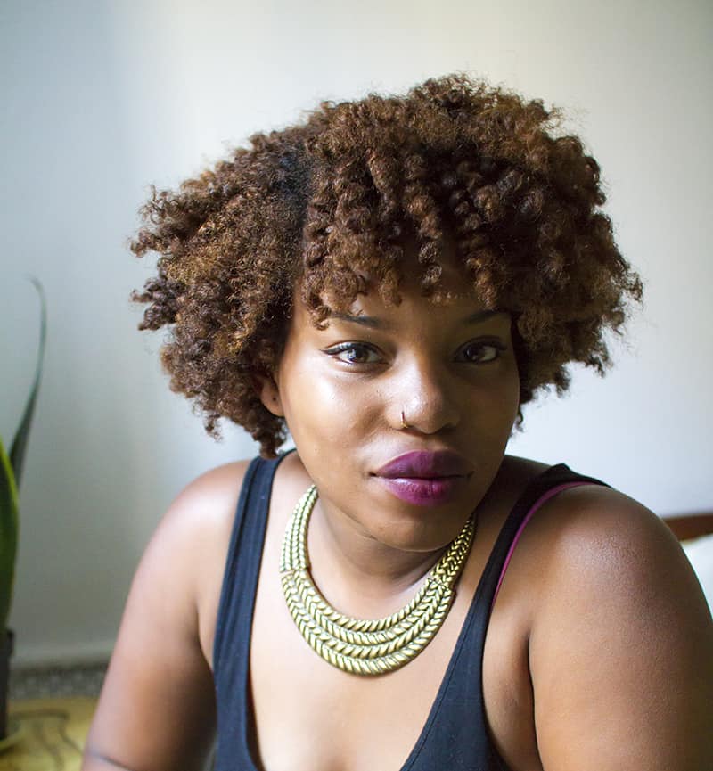 Shoulder Length Twist Out With Highlights, Close-Up Take Shoulder Length Twist Out With Highlights, Close-Up Take — Natural Hair Twists