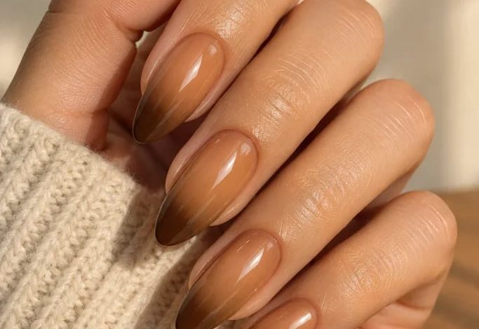11 Elegant Two Tone Ombre Nails for a Sophisticated Look | Nail Craftly
