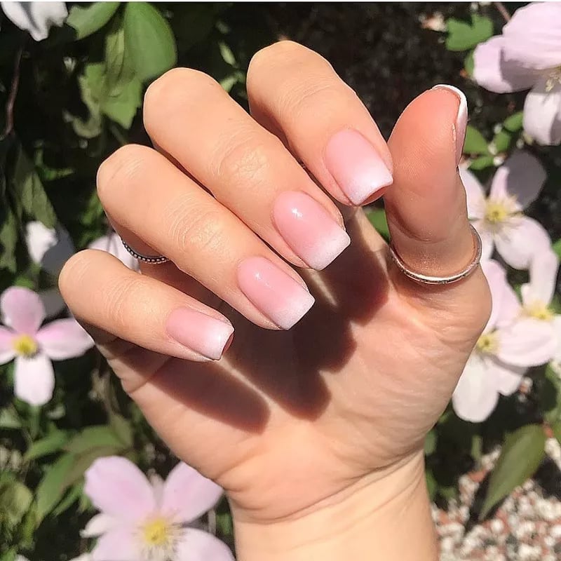 Medium Square Sheer Pink White French Ombre — Ombre Nails