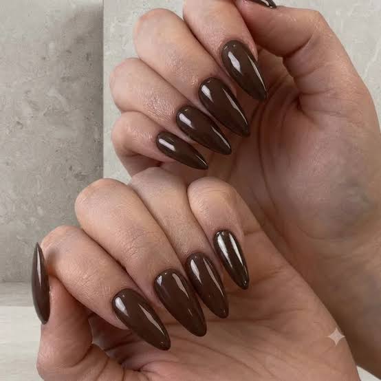 Long Stiletto Deep Brown Nails Long Stiletto Deep Brown Nails — One Color Nails