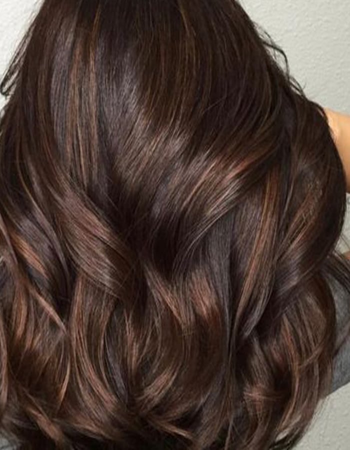 Dark Brown With Subtle Lighter Brown Highlights — Partial Highlights