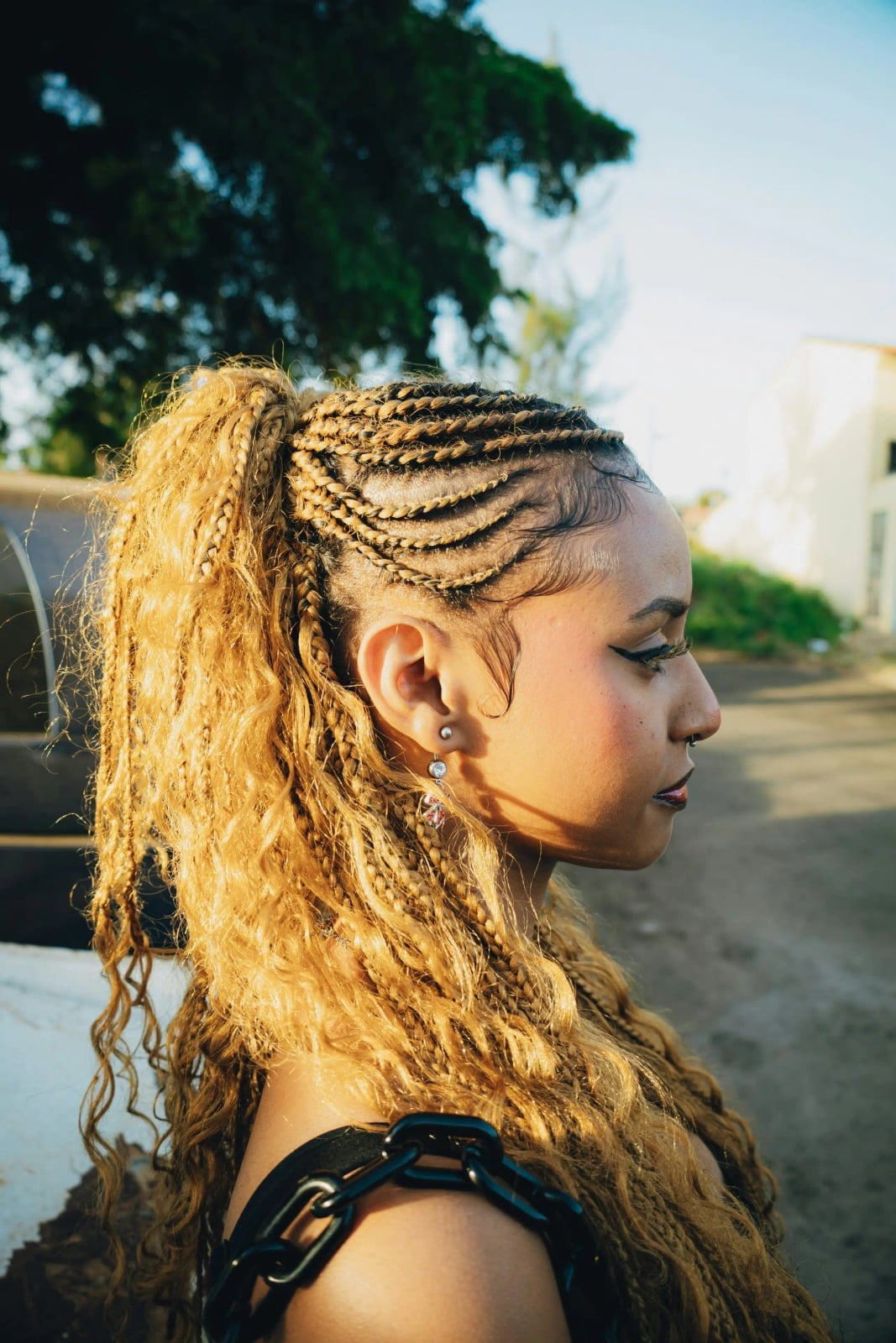 Honey Blonde Cornrows With Curly Box Braids Honey Blonde Cornrows With Curly Box Braids — Parts Braids