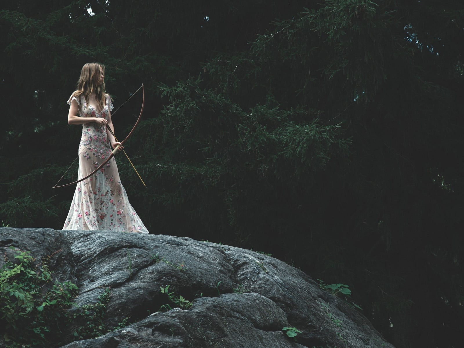 Ethereal Sheer Dress with Floral Embroidery — Photoshoot Dress