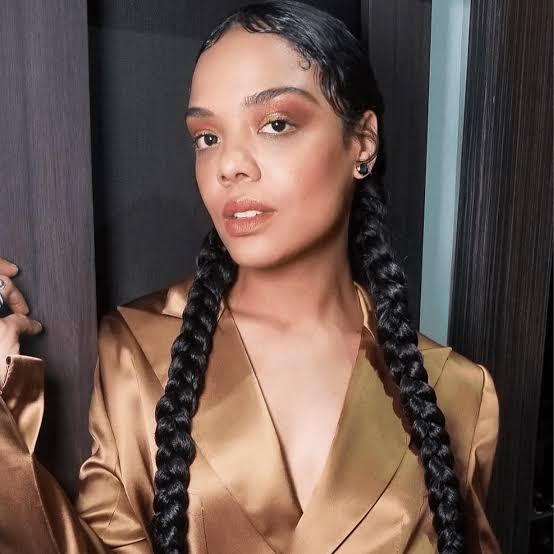 Glossy Black Braids With Face-Framing Tendrils — Pigtails Braids