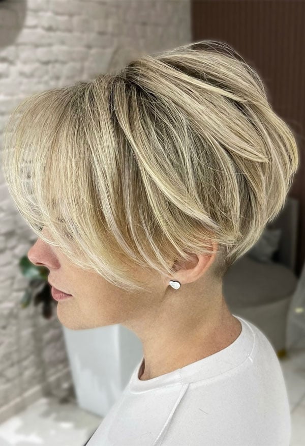 Stacked Ash Blonde Pixie Bob