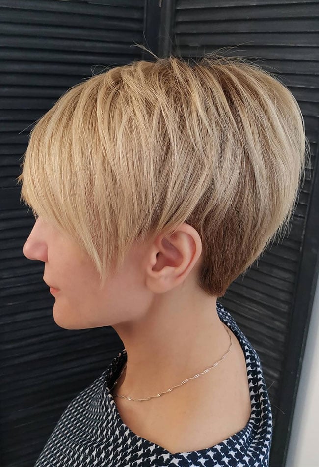 Sleek Ash Blonde Graduated Pixie Bob, Ear