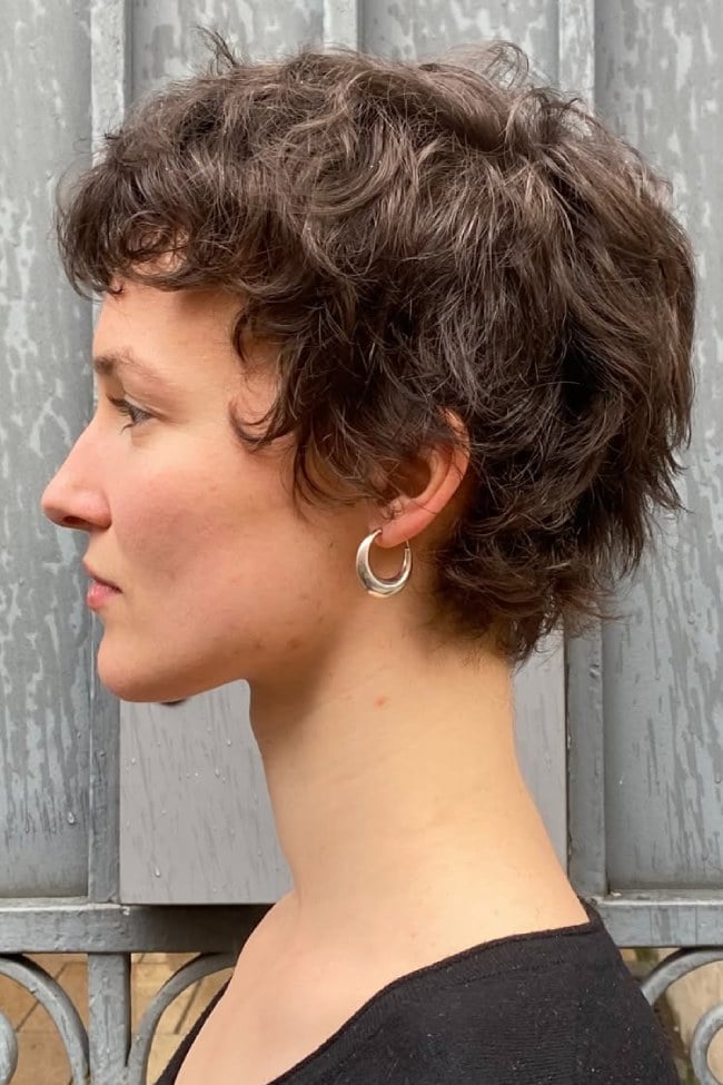 Dark Brown Pixie With Soft Layers Dark Brown Pixie With Soft Layers — Pixie Cut Hairstyles