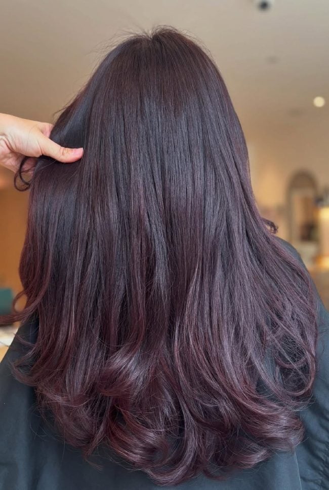 Mid-Back Deep Plum With Darker Lowlights Mid-Back Deep Plum With Darker Lowlights — Plum Hair Color