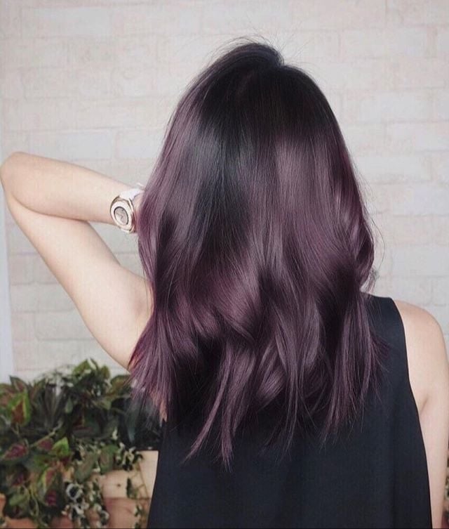 Collarbone Dark Base With Plum Transition Collarbone Dark Base With Plum Transition — Plum Hair Color