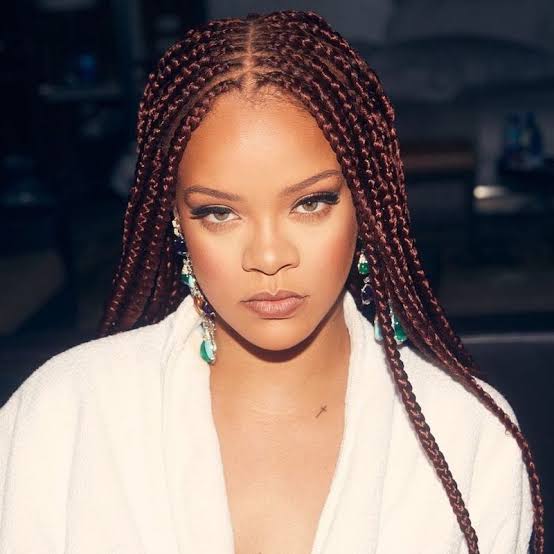Mid-Back Box Braids With Subtle Red Undertones — Red Braids