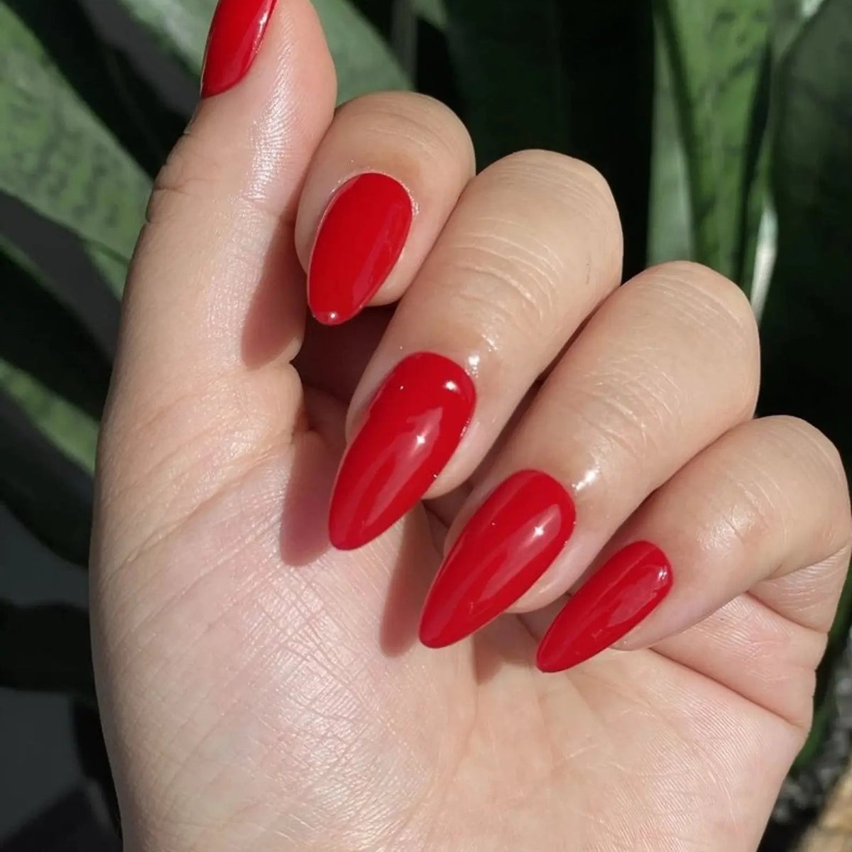 Classic Red Glossy Long Stiletto Nails — Red Nails