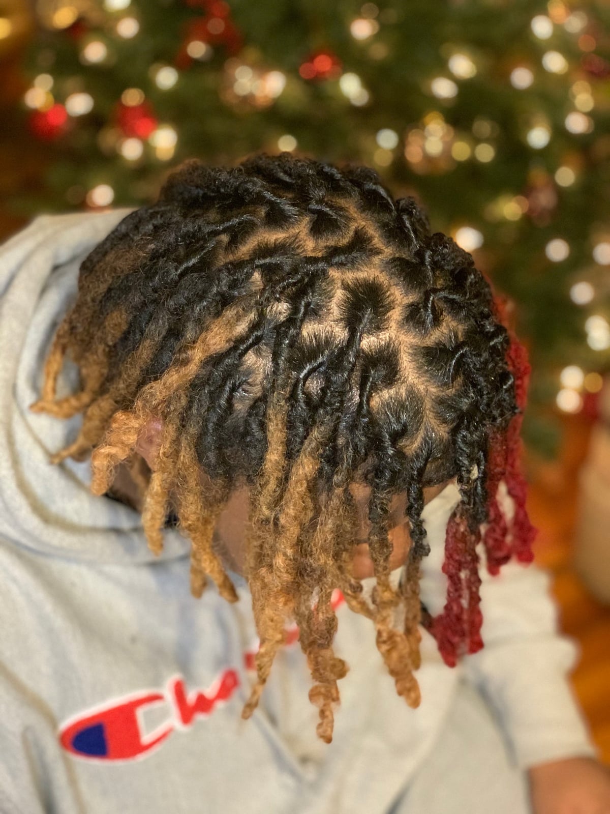 Shoulder Length Locs With Color Highlights — Retwist Locs