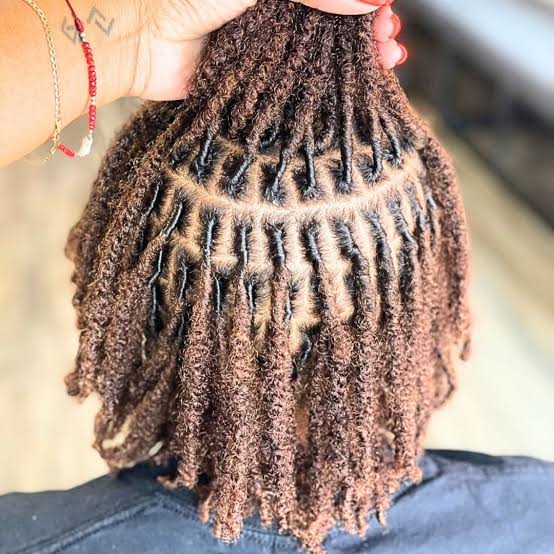 Two-Strand Twists With Grid Pattern, Close-Up Take — Retwist Locs