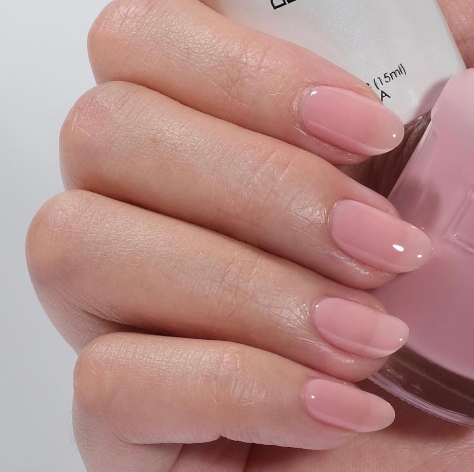 Sheer Pink Oval Nails — Sheer Nails