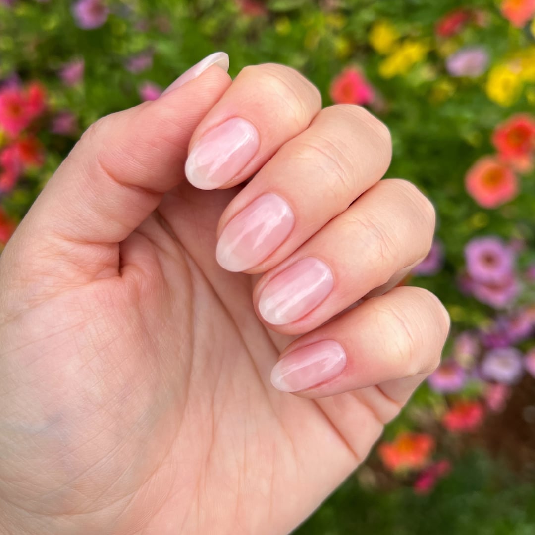 Short Oval Sheer Pink Jelly With Offering A Subtle — Sheer Nails