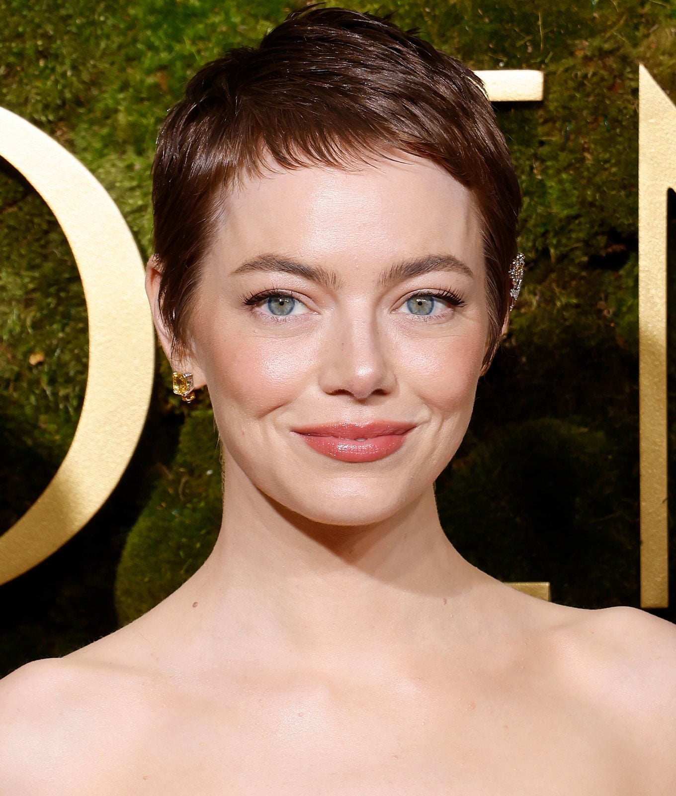 Tousled Reddish-Brown Pixie Crop — Short Hair Haircuts
