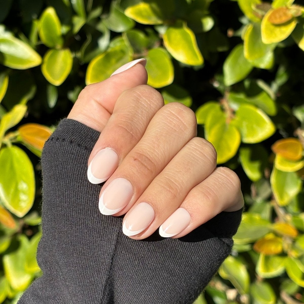 Classic French Tip Short Round Nails Classic French Tip Short Round Nails