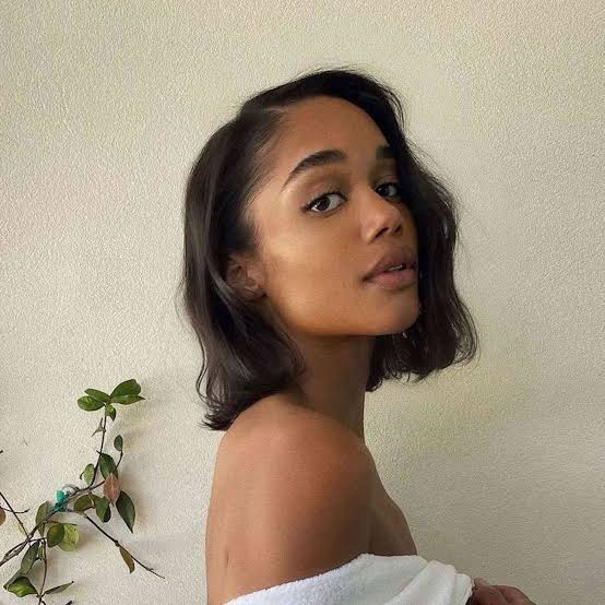 Chin Length Bob With Side-Swept Bangs — Side Part
