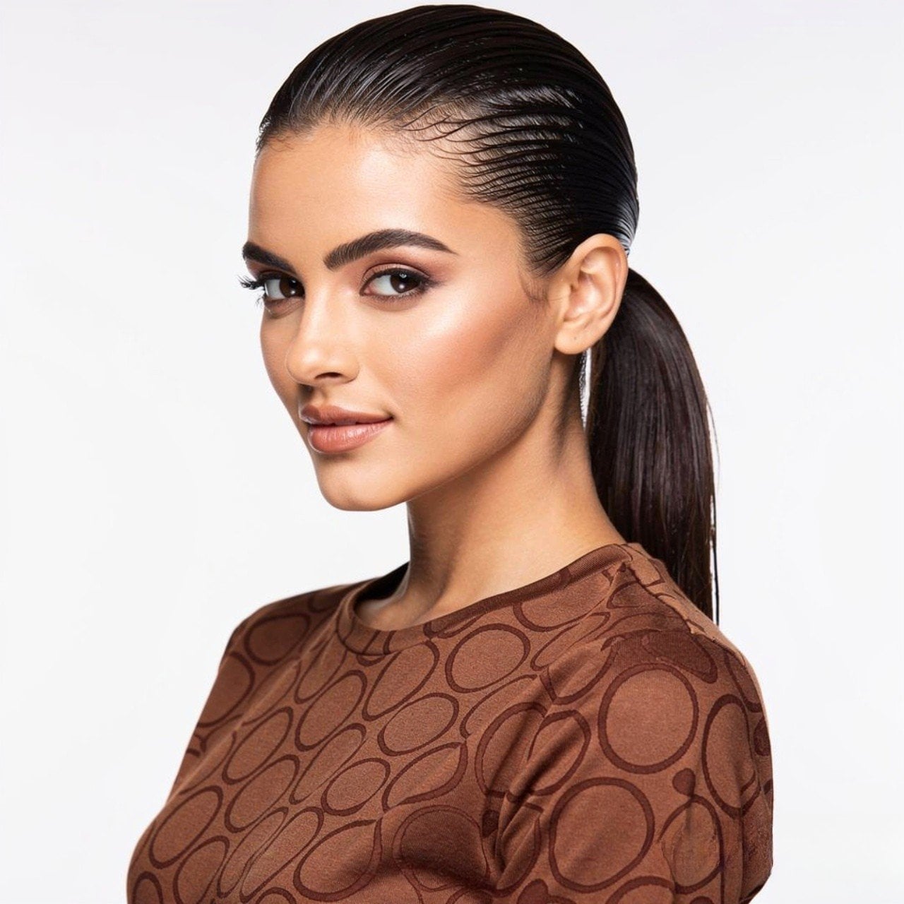 High Ponytail On Short Dark Brown Hair, Ear — Sleek Ponytail