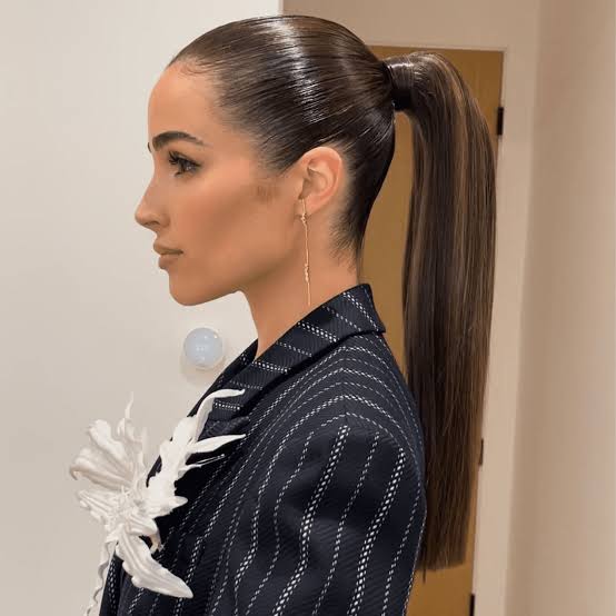 Sleek Low Dark Brown Ponytail — Sleek Ponytail