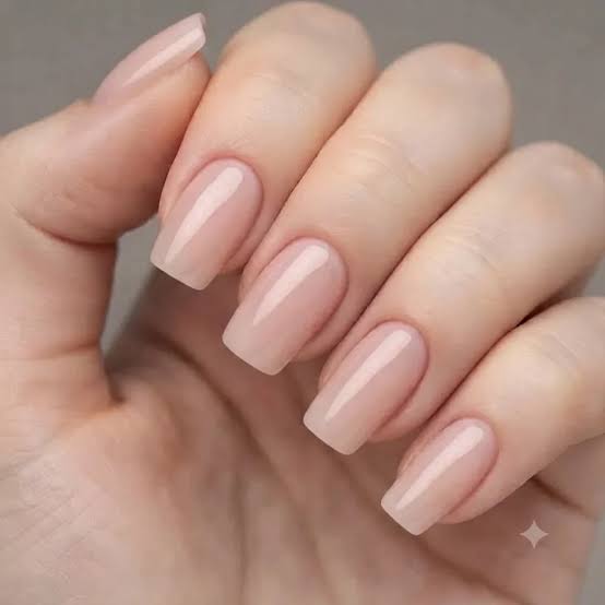Sheer Nude High-Gloss Medium Squoval Sheer Nude High-Gloss Medium Squoval — Squoval Nails