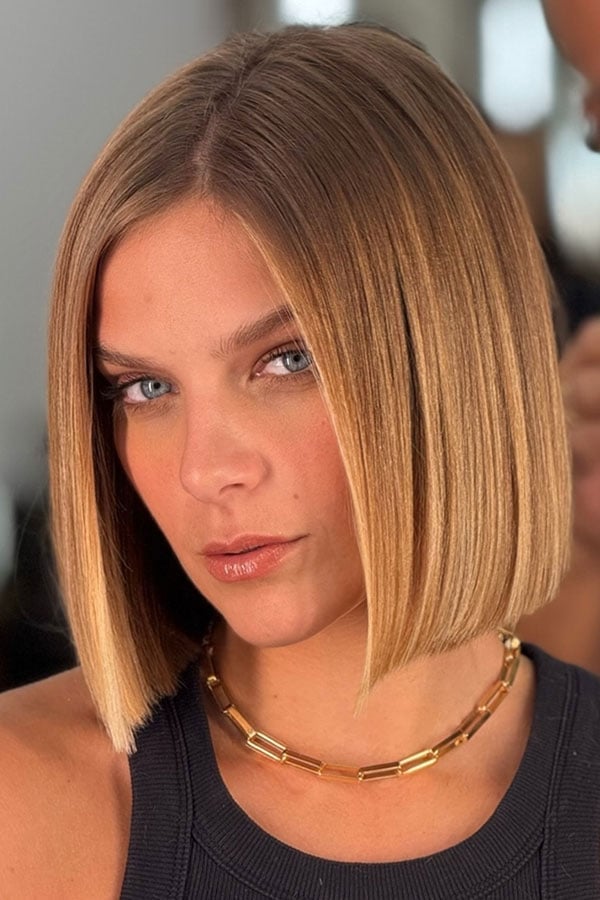 Chin Length Blunt Bob Sleek Finish — Straight Hair Haircuts