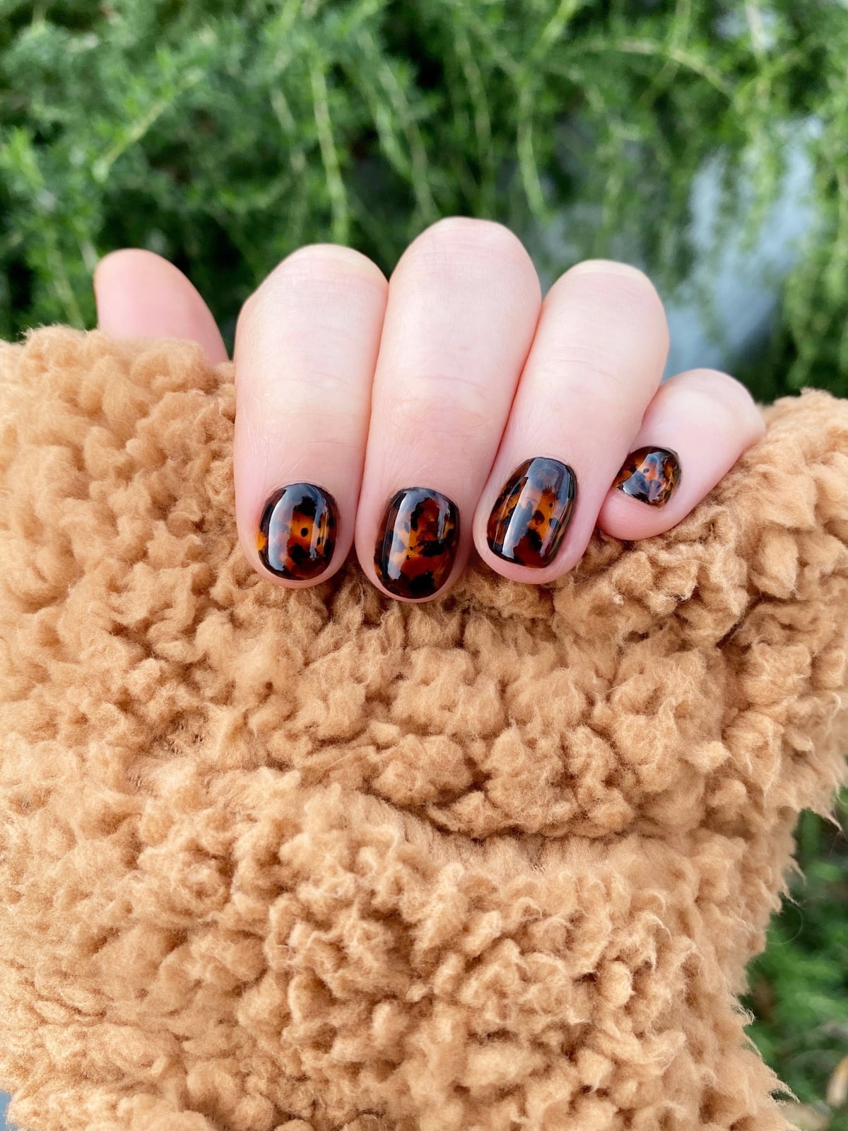 Short Almond Glossy Brown Tortoise With Full Nail Coverage Short Almond Glossy Brown Tortoise With Full Nail Coverage — Tortoise Nails