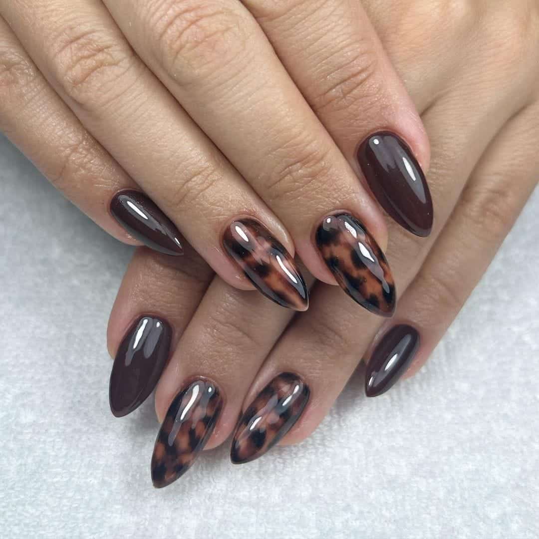 Medium Almond Classic Tortoise Pattern Medium Almond Classic Tortoise Pattern — Tortoise Nails