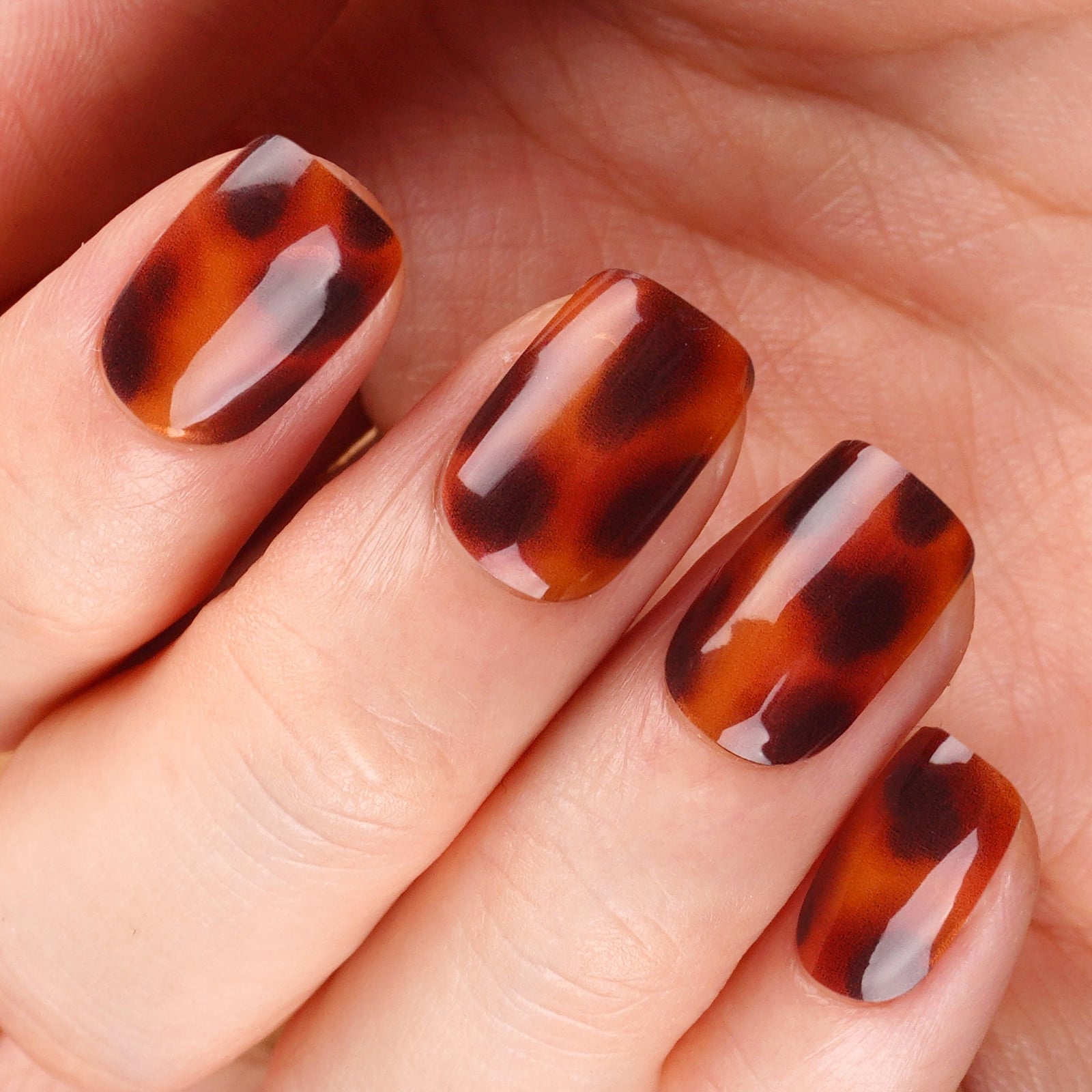 Short Oval Classic Tortoise Pattern Short Oval Classic Tortoise Pattern — Tortoise Nails
