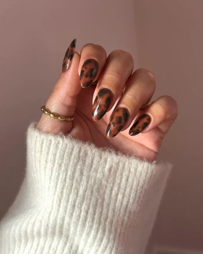 Long Stiletto Glossy Tortoiseshell, Brown Long Stiletto Glossy Tortoiseshell, Brown — Tortoise Shell Nails