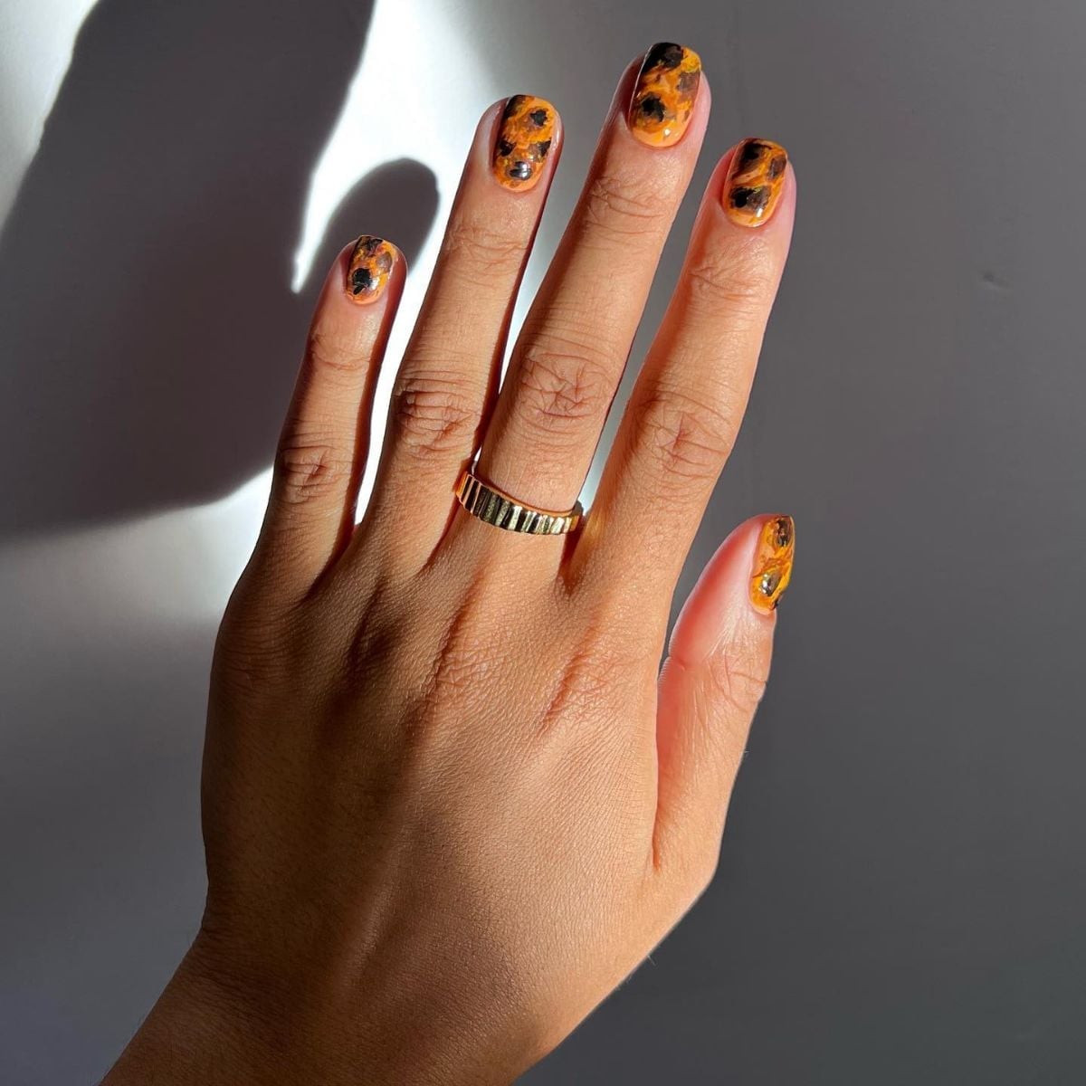 Short Almond Glossy Tortoiseshell Short Almond Glossy Tortoiseshell — Tortoise Shell Nails