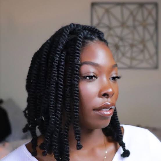 Neat Chin Length Air Dried Twists Neat Chin Length Air Dried Twists — Twist Bob