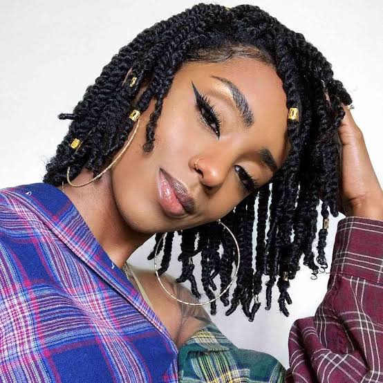 Defined Chin Length Twisted Bob Defined Chin Length Twisted Bob — Twist Bob