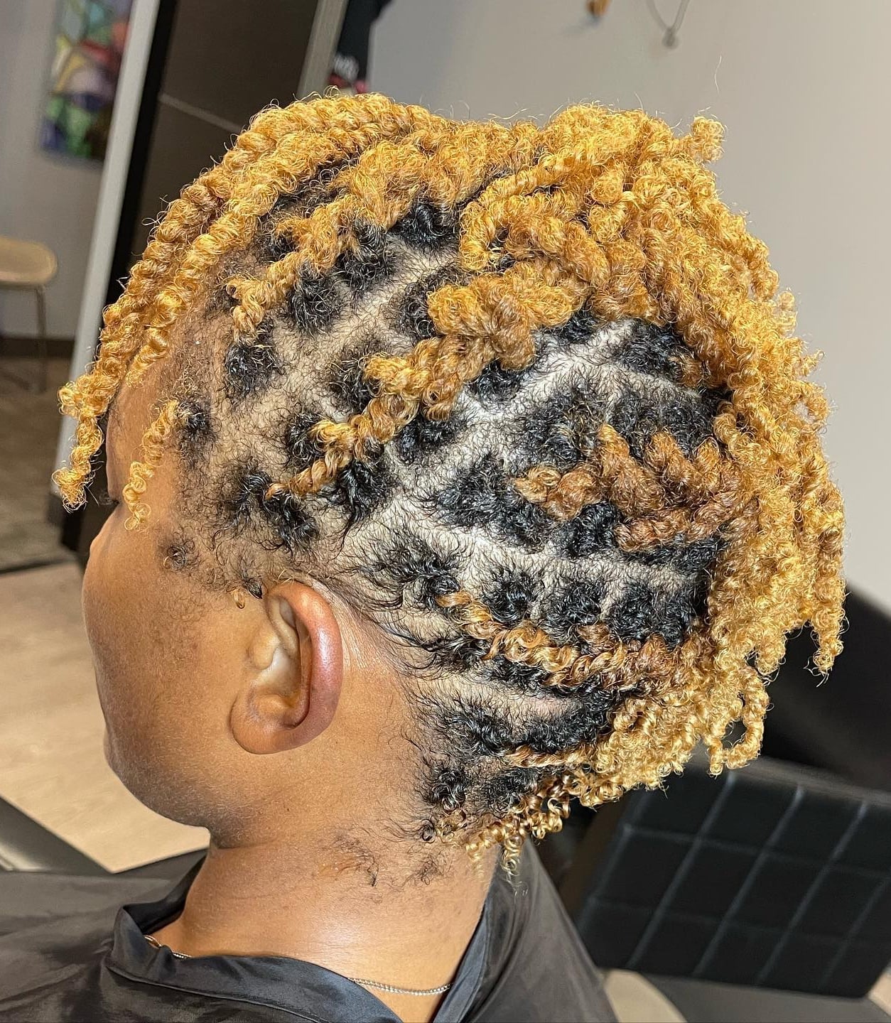 Ear Length Two Tone Twists Ear Length Two Tone Twists — Two Strand Twists