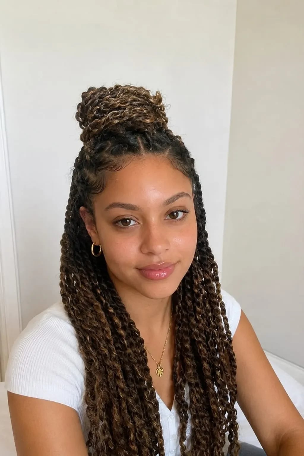 Brown Black Twists With Blonde Highlights Updo Brown Black Twists With Blonde Highlights Updo — Two Strand Twists
