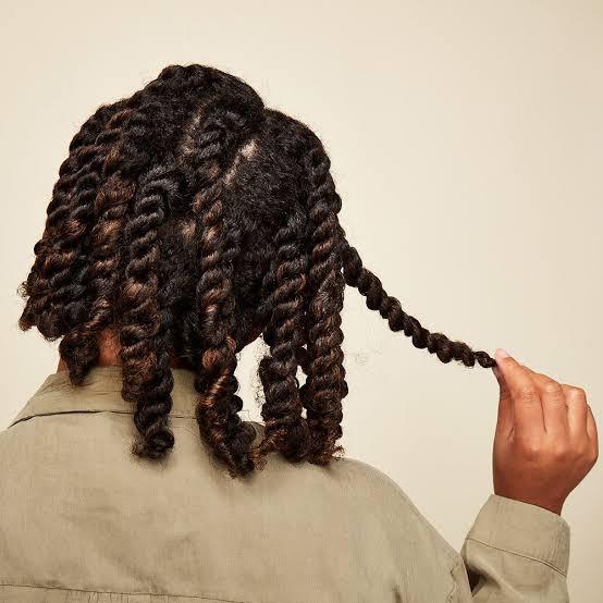 Collarbone Twists With Caramel Highlights Collarbone Twists With Caramel Highlights — Two Strand Twists